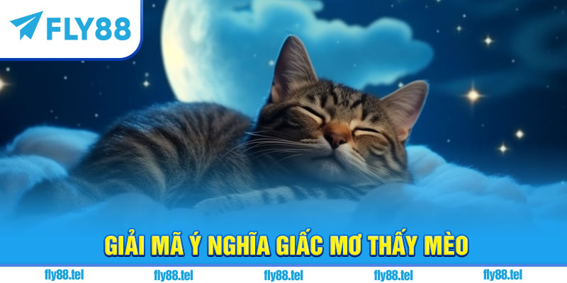 Nằm Mơ Thấy Mèo Là Điềm Gì? Giải Mã, Con Số Chuẩn 2 Giải mã ý nghĩa giấc mơ thấy mèo